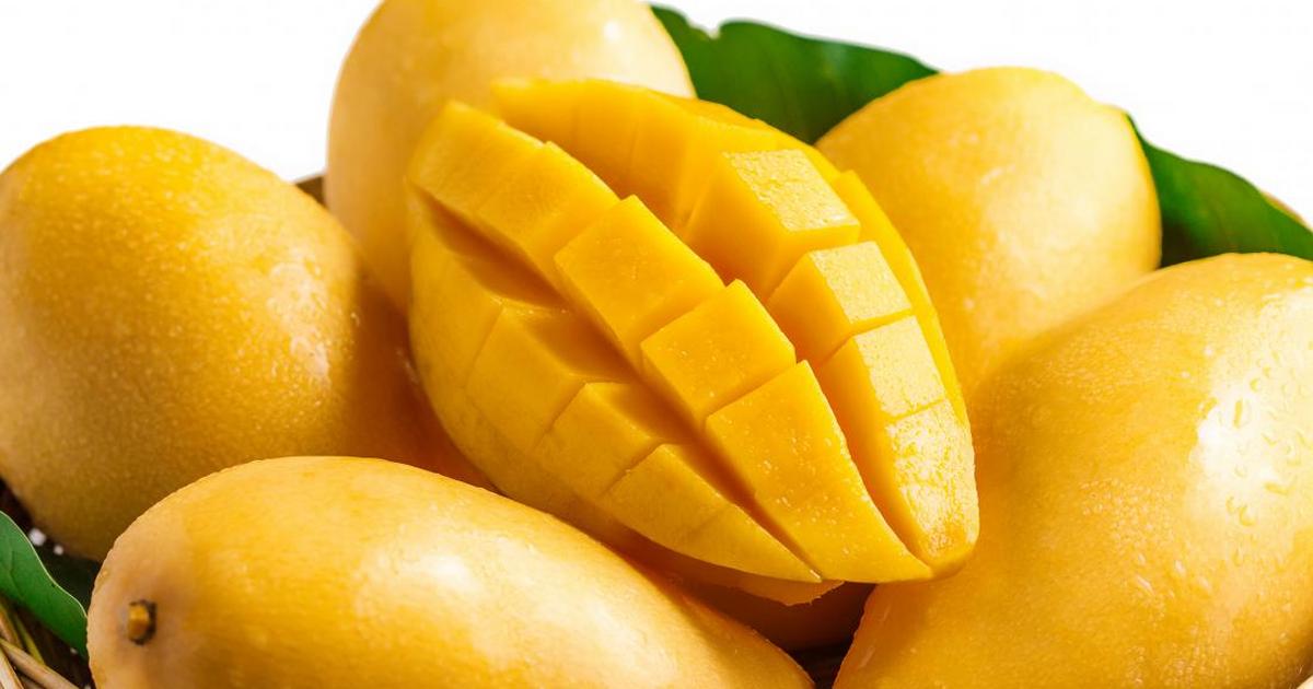 Fresh Mango Price in Pakistan