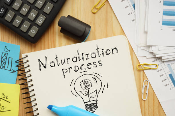 Natural Resources Dissertation A Complete Guide