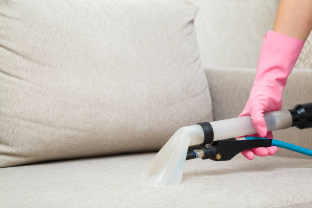Upholstery Cleaning Ashburn
