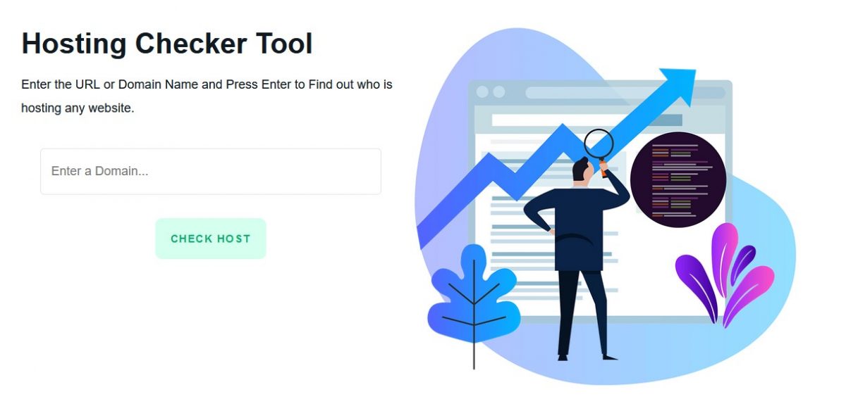 domain hosting checker