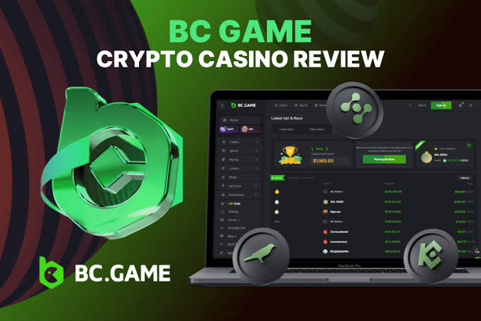 Understanding and Resolving BC.Game US Login Problems -216663447